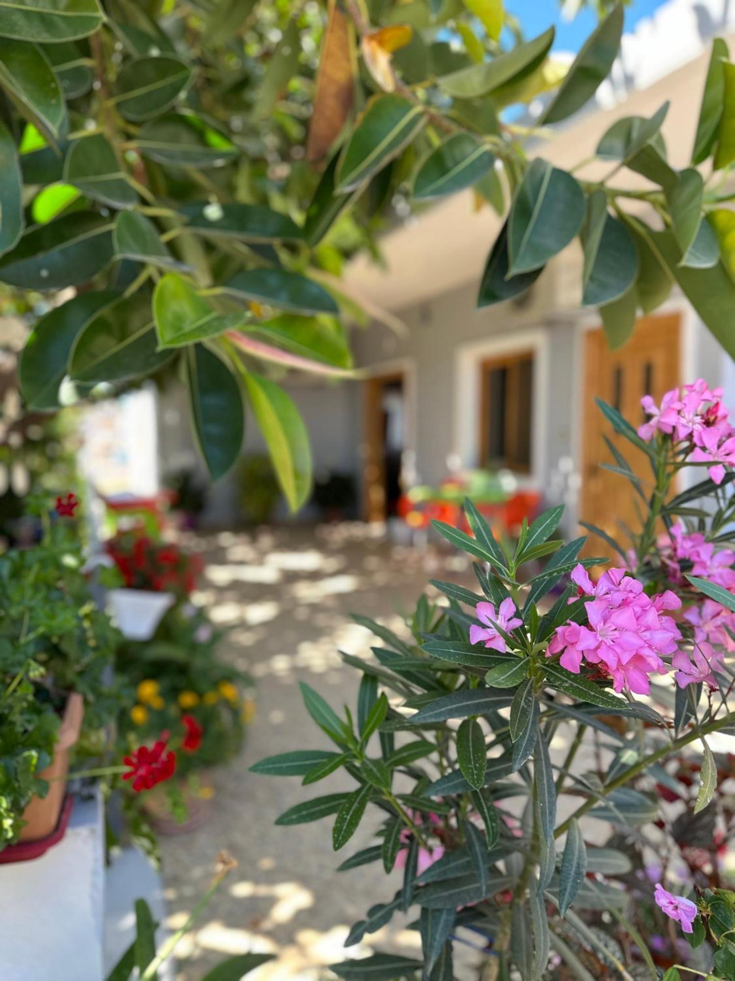 Albi'S Guesthouse Ksamil Ngoại thất bức ảnh